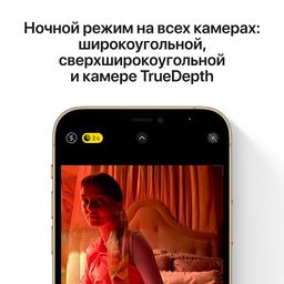 iPhone 12 Pro 512Gb, графитовый— фото №4