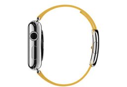 Apple Watch (MMFF2) - 38 мм, нержавеющая сталь, ремешок цвета «весенняя мимоза» с современной пряжкой— фото №1