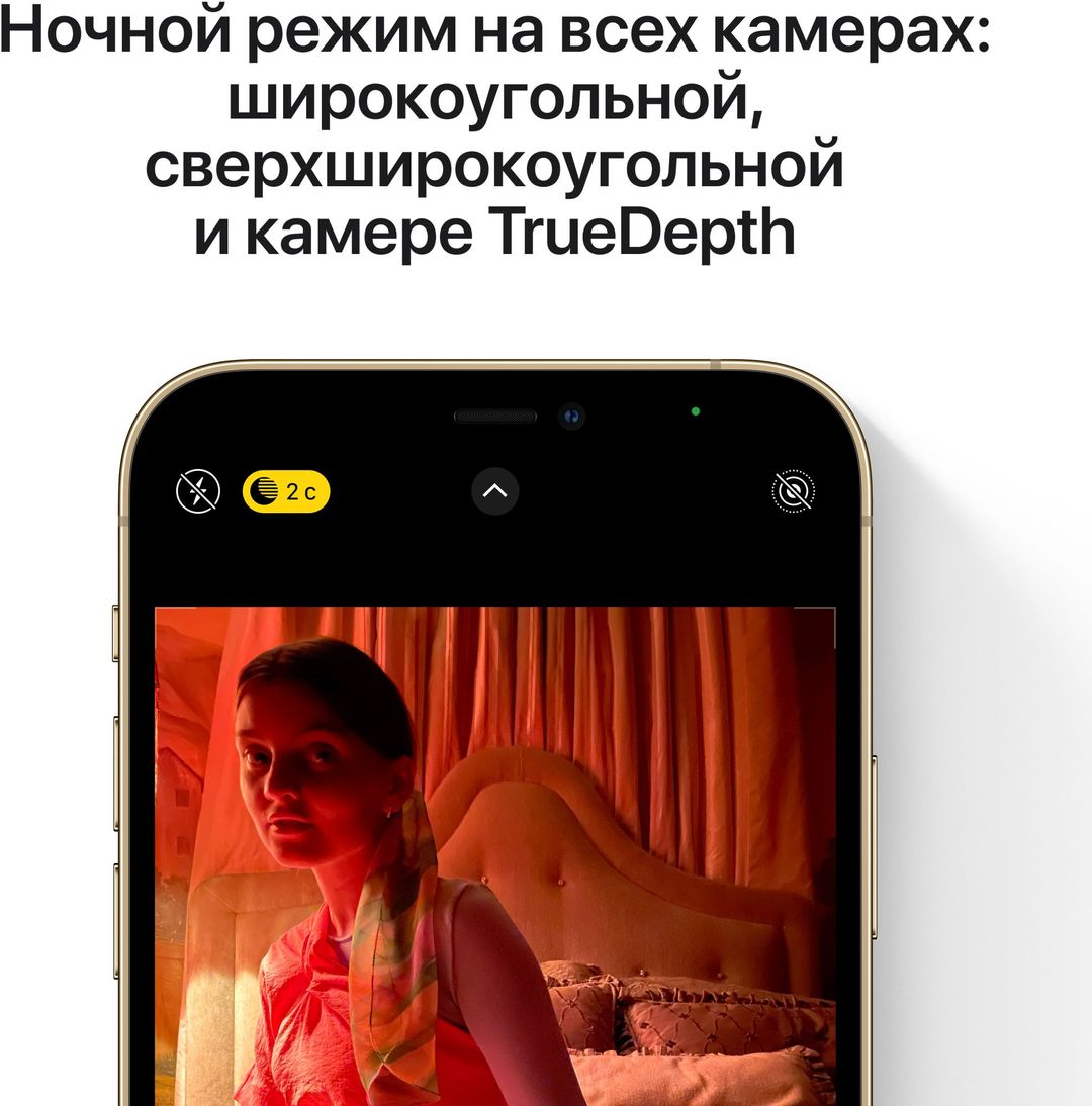 iPhone 12 Pro 256Gb, графитовый— фото №5