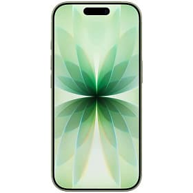 Смартфон Apple iPhone 17 eSIM+eSIM 512GB, зеленый (Sage) - 1